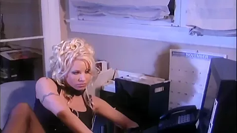 Secretary fantasy sex in stockings and a garter