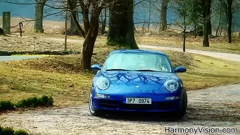Blonde bitch gets fucked doggy style outdoor