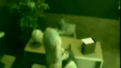 Dick sucking office whore gets wet and messy