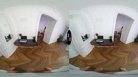 When VR Comes Home