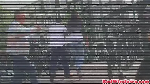 Doggystyled dutch hooker pussyfucked by tourist