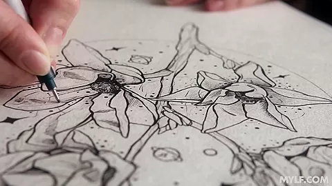Concept Tatted Mylfs - MYLF