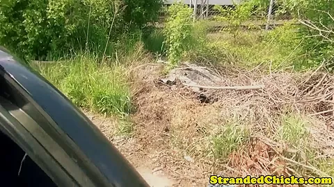 Beautiful hitchhiking eurobabe blows driver