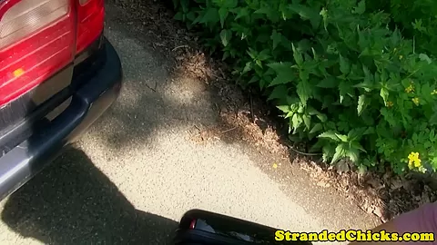 Beautiful hitchhiking eurobabe blows driver