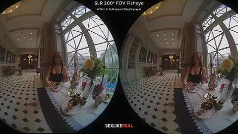 Tea for Two - Ultra High Quality Virtual Reality Striptease