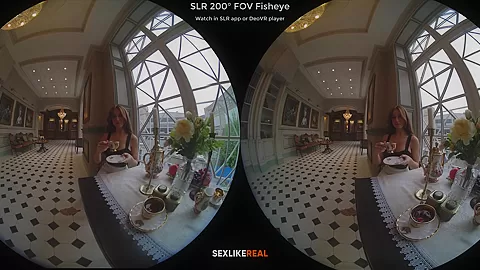 Tea for Two - Ultra High Quality Virtual Reality Striptease