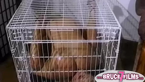 Caged vintage lesbians