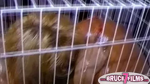 Caged vintage lesbians