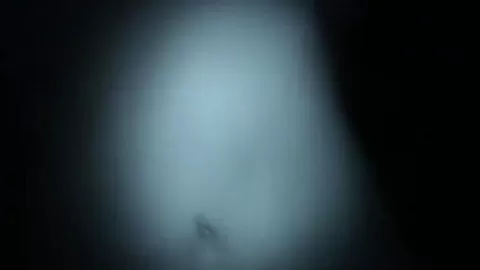 John and Ali fucking dark in dark