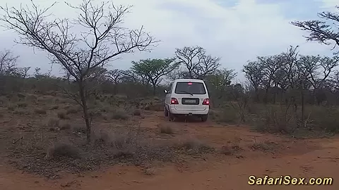 real african safari sex orgy