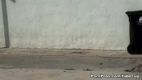 Dumpster Diving - PornPros