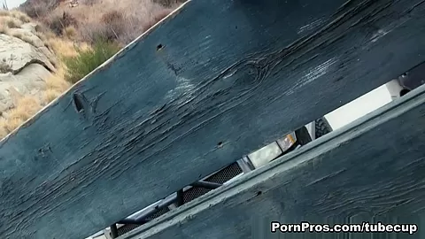 Scenic Reststop BJ - PornPros