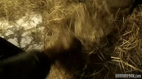 HORRORPORN - Rabbit hutch