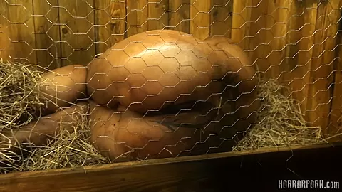 HORRORPORN - Rabbit hutch
