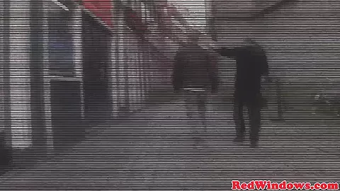 Real bigjugged dutch hooker facialized