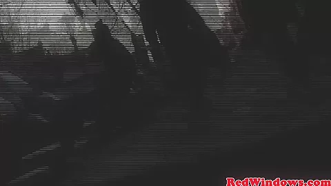 Smalltitted amsterdam whores creampie