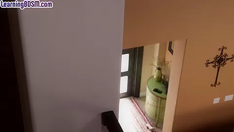 BDSM babe in pantyhose whipped and fucked by robber