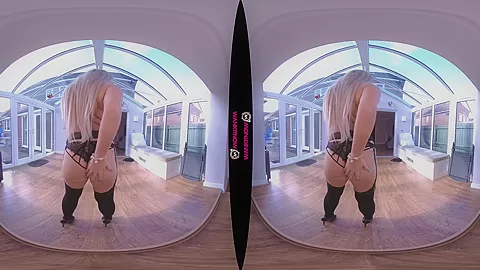 Sexual Commision - Busty Blonde Real Estate Agent Stripping