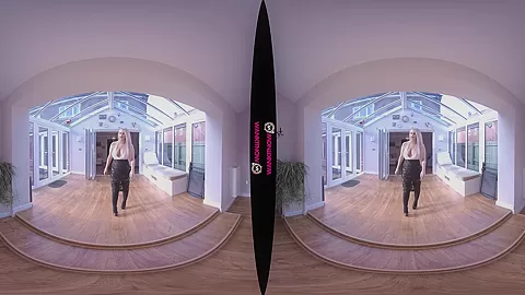 Sexual Commision - Busty Blonde Real Estate Agent Stripping