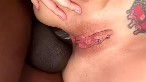 BBC Ass Cream 2023 - AdultEmpire