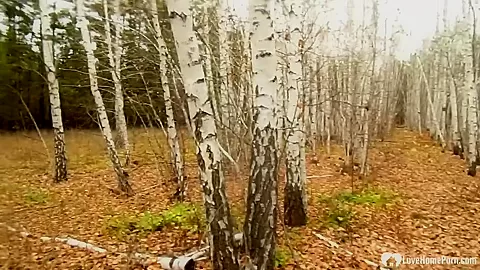 Stepmom takes a hard cock in the woods