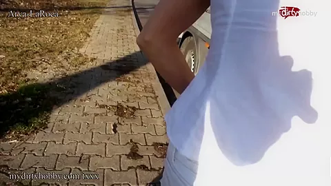 MyDirtyHobby - Arya LaRoca public quickie with a stranger after getting picked up