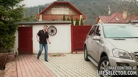 The - LifeSelector