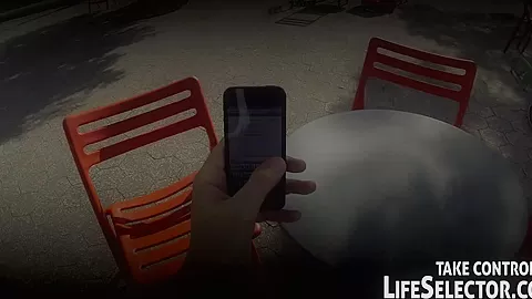 The Job Destroyer - LifeSelector