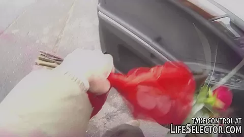 Cheating Valentine - LifeSelector