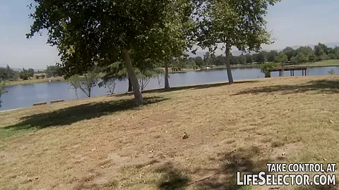 Lost Pussycat - LifeSelector