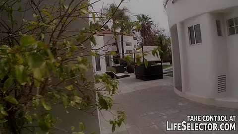 West Wing Affairs - LifeSelector