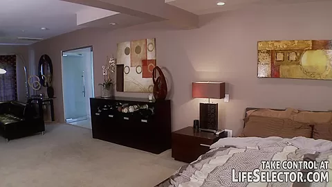 West Wing Affairs - LifeSelector