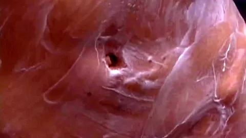 Japanese Men view secretly a nude babe with hairy pussy closeup