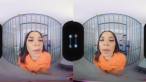 Snitches Get Bitches