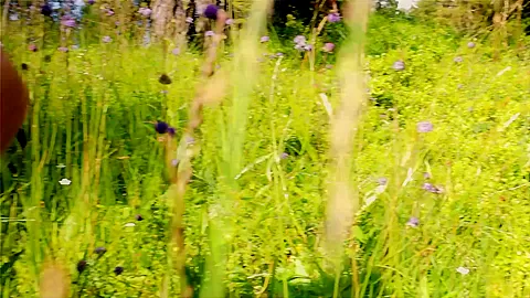 Karmen Auf Der Alm - Sex Movies Featuring Nudebeauties
