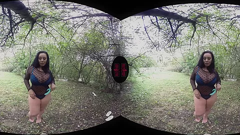 Outdoor With Sex Toys - VRPussyVision