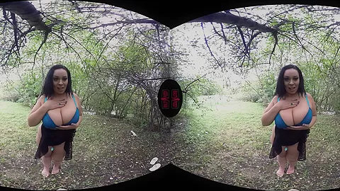 Outdoor With Sex Toys - VRPussyVision
