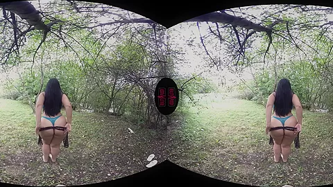 Outdoor With Sex Toys - VRPussyVision