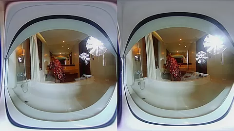 Toilet And Bathroom - VRPussyVision