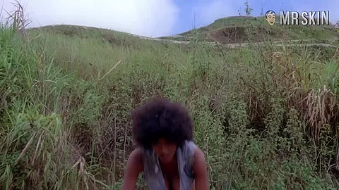 Best Of: Pam Grier - Mr.Skin