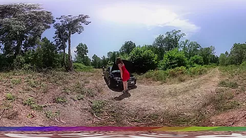 BW Barter Sex
