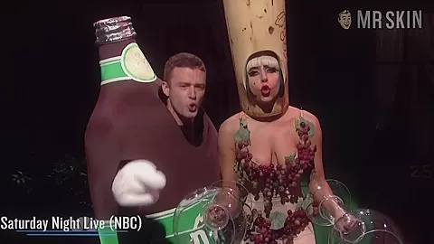 Best Of: Lady Gaga - Mr.Skin