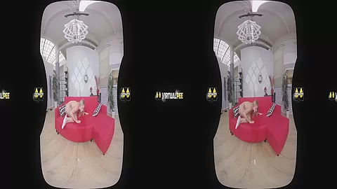 Soaking the Sofa