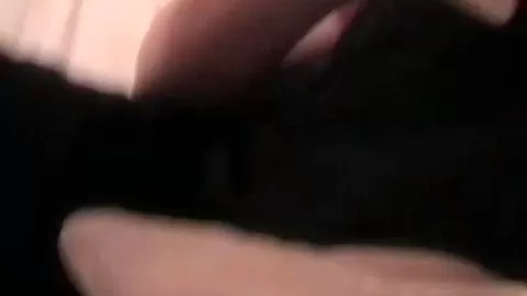 Splendid Kaz B makes a present to guy and sucks his cock