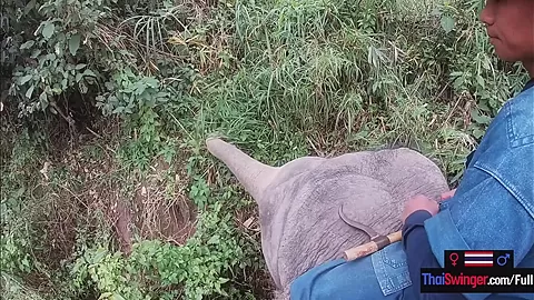 Elephant riding in Thailand with teen 18+ couple who had sex afterwards