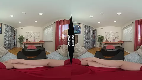 Hardcore For A Party - Wankzvr - Vr Porn Video