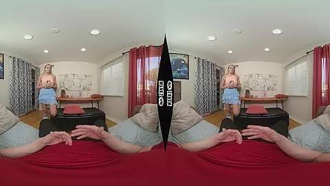Hardcore For A Party - Wankzvr - Vr Porn Video