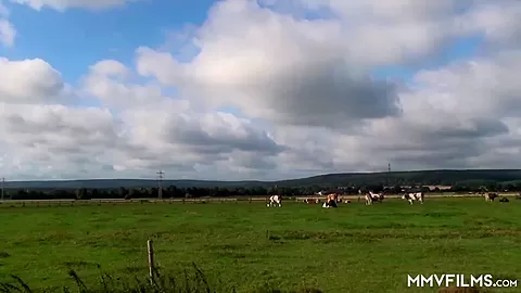 Taking Granny for a ride