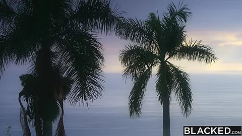 BLACKED French hottie Lina loves 2 things: anal and BBC