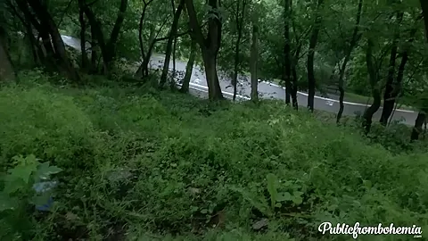 Fucking In A Public Park - Porncz